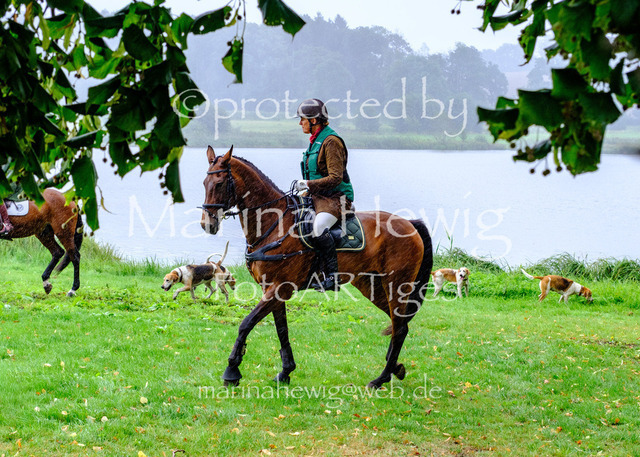 Jagd Kletkamp 26-9500_MarinaHewig | Fotografie, FotoArt, PferdesportArt, Pferdesportfotografie, Landschaftsfotografie, Reisefotografie, Reise, Pferde - Realisiert mit Pictrs.com