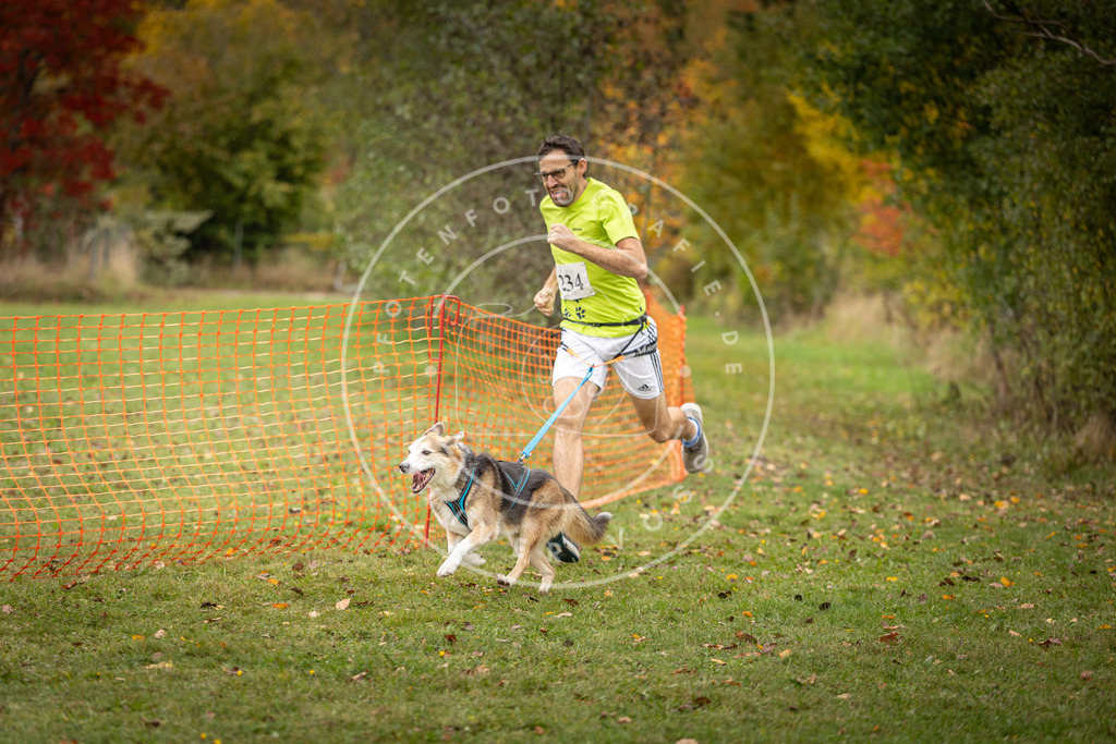 Pfotenfotografie_DV3A4390 | Hundefotografie, Tierfotograf, Pfotenfotografie, Fotoshooting Hund, Hunde Portrait, Hundesport, Hundeportraits, Heideshooting, Hunde, Sportfotograf, Hundefotograf, Turnierhundsport, THS,  - Realisiert mit Pictrs.com