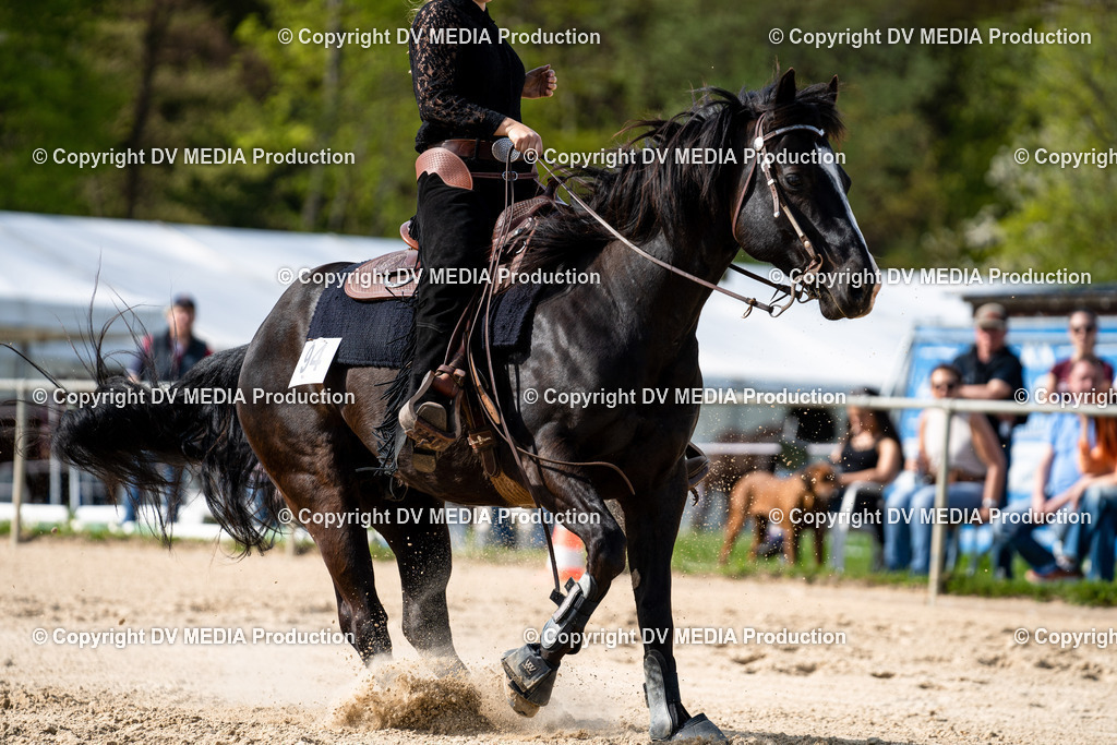 Heiligenwald Tag 2-1035 | dv-media-shop - Realisiert mit Pictrs.com