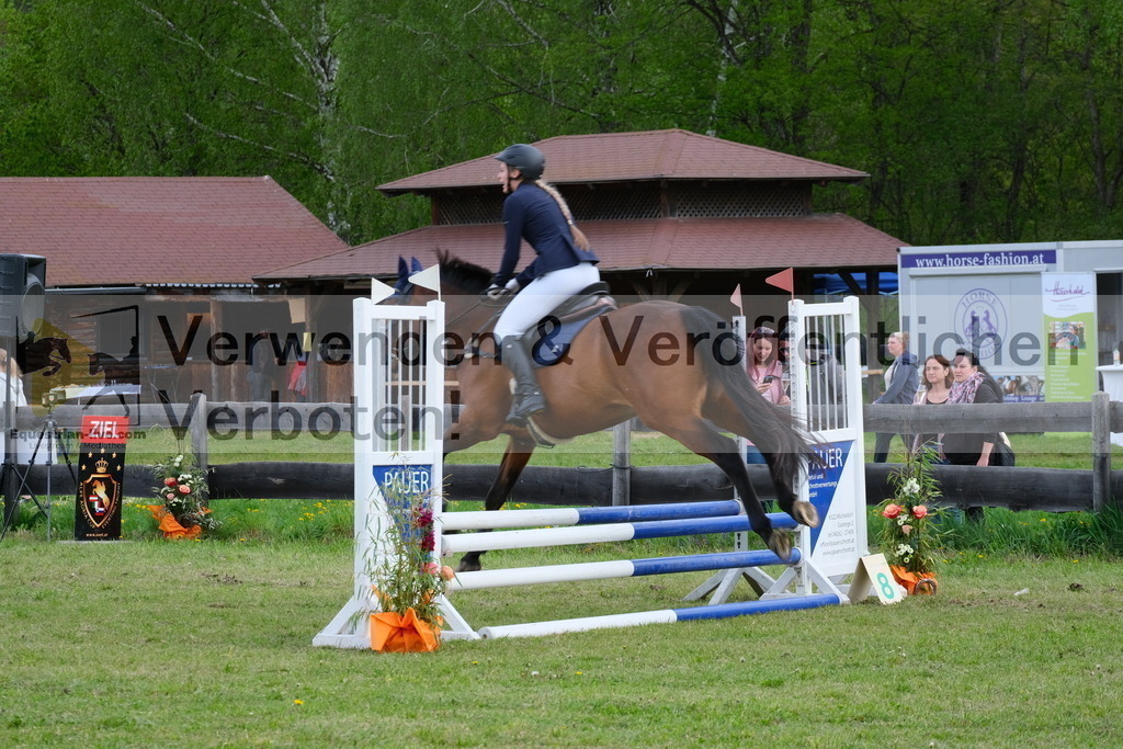 DSCF3838 | equestrian-live-com
