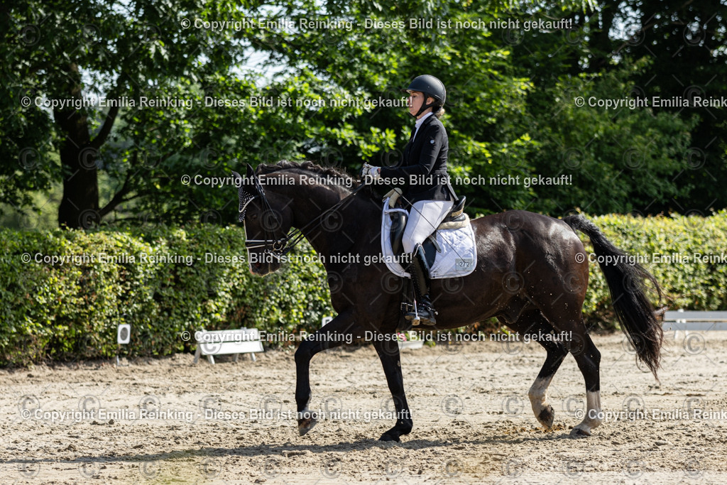 CL5A7330 | Emilia Reinking Fotografie - Realisiert mit Pictrs.com