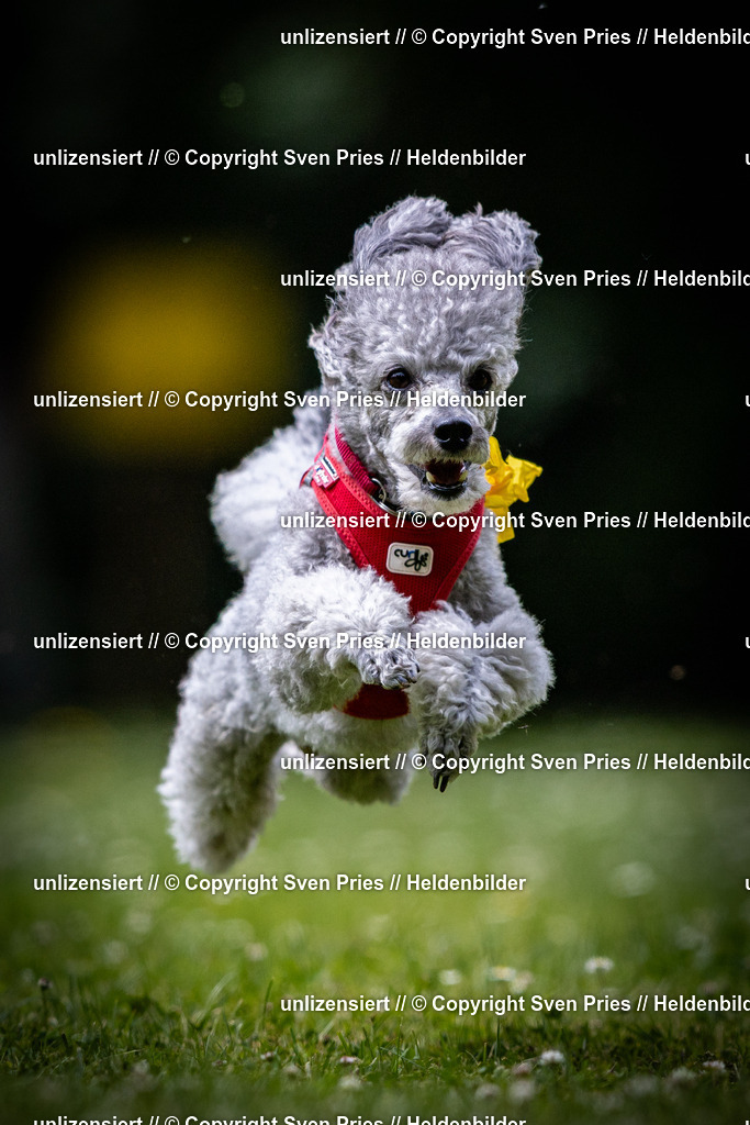 Sven Pries | 2025-05-29 - Pudelrennen KA-Durlach - Realisiert mit Pictrs.com