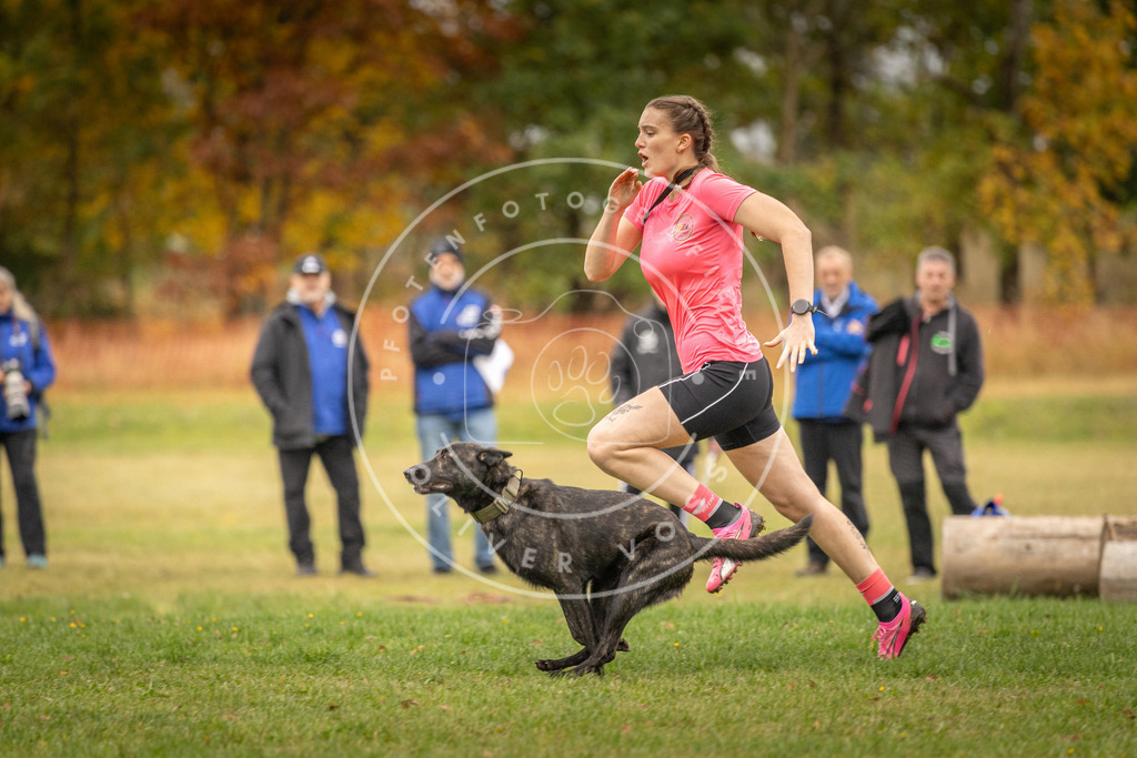 Pfotenfotografie_DV3A6422 | Hundefotografie, Tierfotograf, Pfotenfotografie, Fotoshooting Hund, Hunde Portrait, Hundesport, Hundeportraits, Heideshooting, Hunde, Sportfotograf, Hundefotograf, Turnierhundsport, THS,  - Realisiert mit Pictrs.com