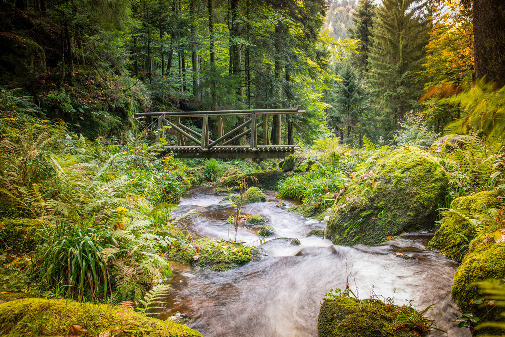 fototreff-176 | <div id="allefotografen-seal-verified-green"></div><script src="https://www.allefotografen.de/956728/seal-verified-green/seal.js" async="async"></script> - Realisiert mit Pictrs.com