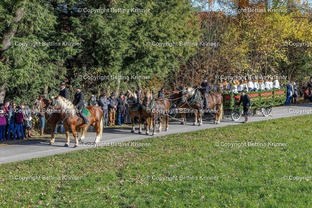 LBT25-242 | foto-bettina-krinner - Realisiert mit Pictrs.com