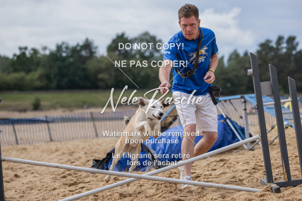 nelerasche_BuHu2026_So1530-Ende_49 | nelerasche