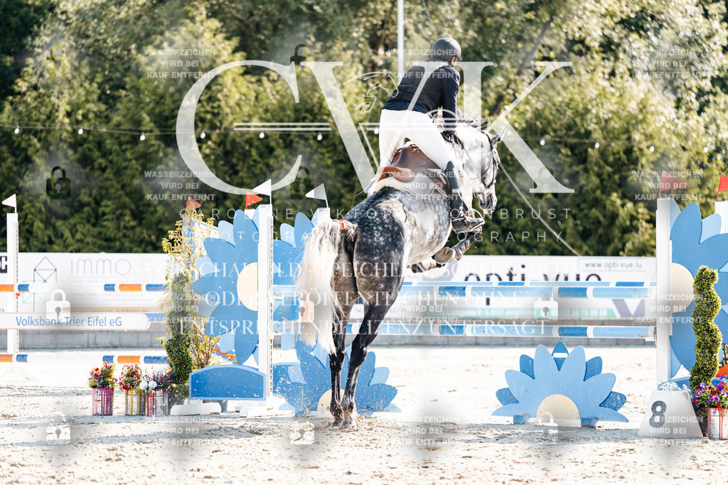 CK902111 | Turnierfotografie Pferdefotografie Trier Rheinland-Pfalz Pferdesport Reitsport Tierfotografie Sportfotografie Pferdevideo Pferdevideografie Equestrianvideography equestrianphotography  - Realisiert mit Pictrs.com