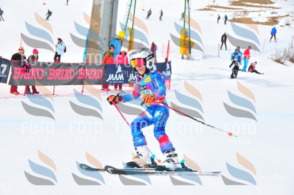 DSC_2543 | holidayphoto