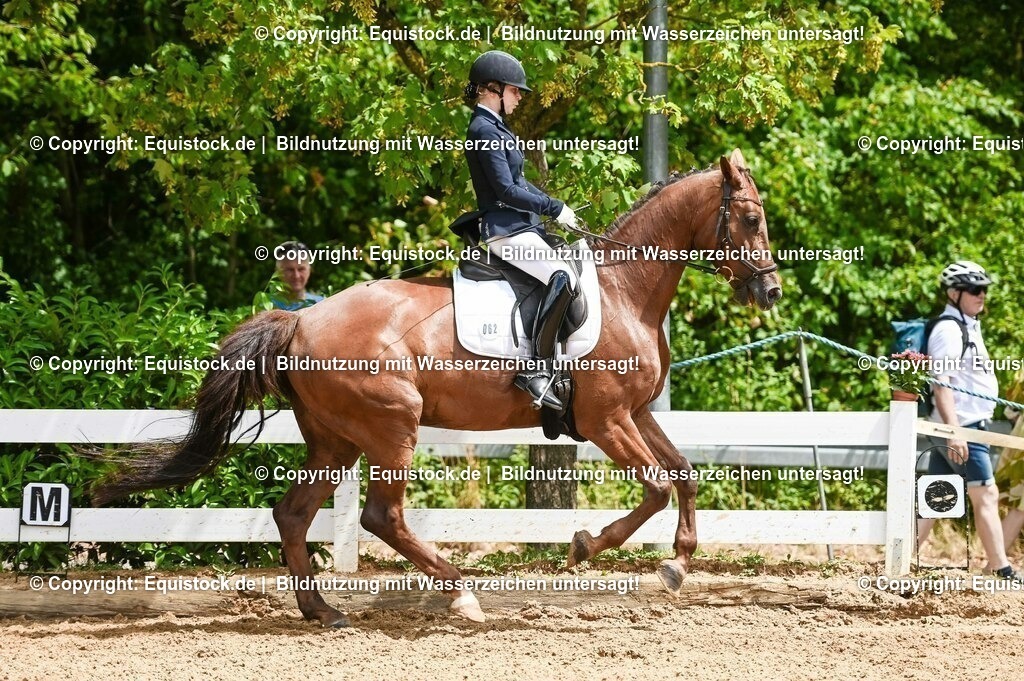 20230716_03_Dressurprfg. Kl.L - Tr._0409 | equistock