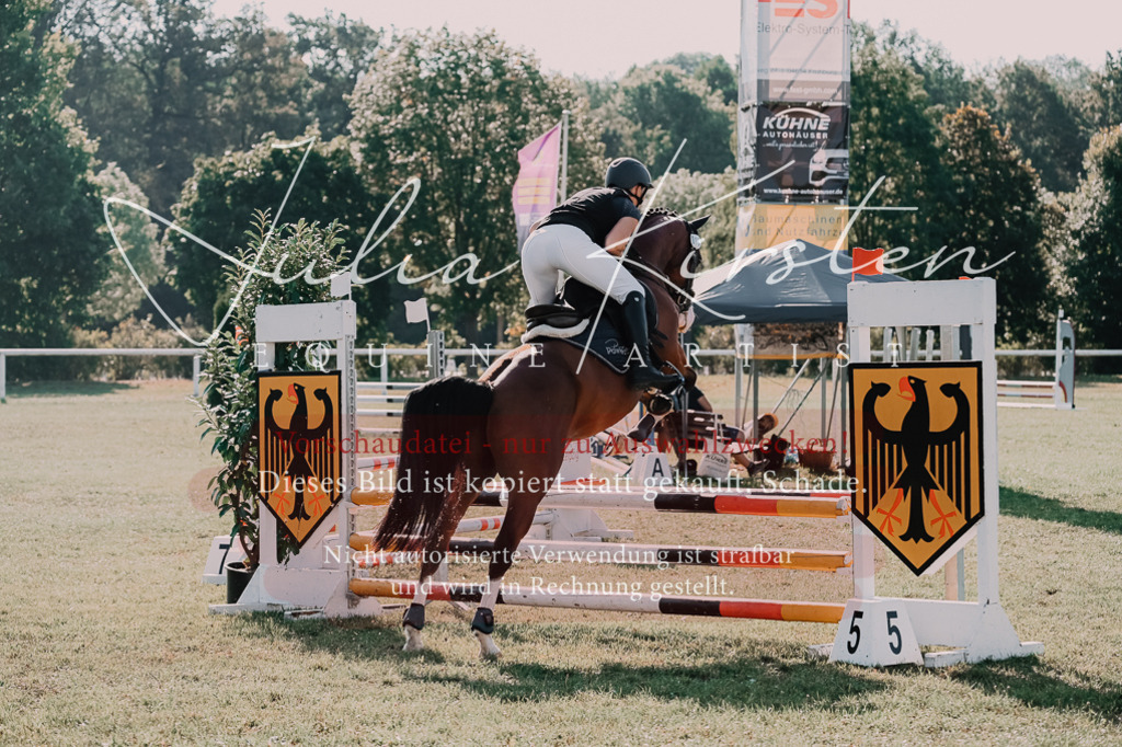 DSC_4740 | Pferde- und Turnierfotografie in Westsachsen. Pferdeportraits, Auftragszeichnungen und intuitive Kunst.