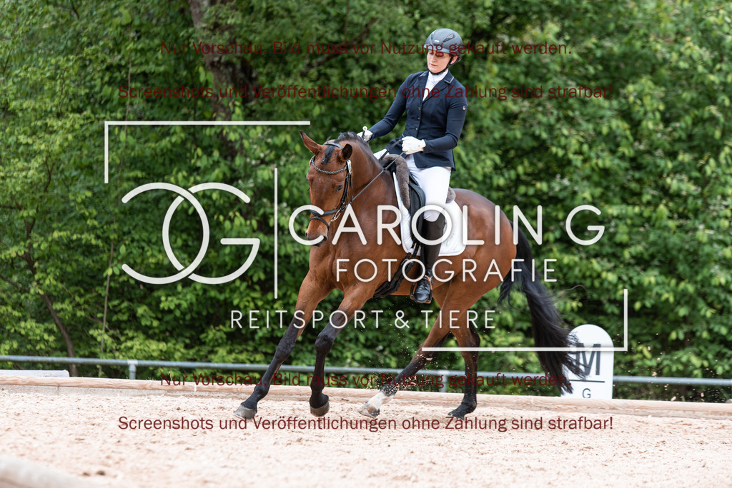 DSC_7015 | Turnierfotografin Carolin Gieschke,Reitsport Turnierfotografie Carolin G Fotografie | Turnierfotos aus Kirchheim/Teck, Esslingen, Stuttgart und dem Bodenseekreis