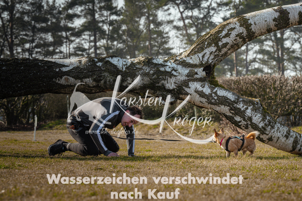 0941_ZZ99708 | kk-dogfotos