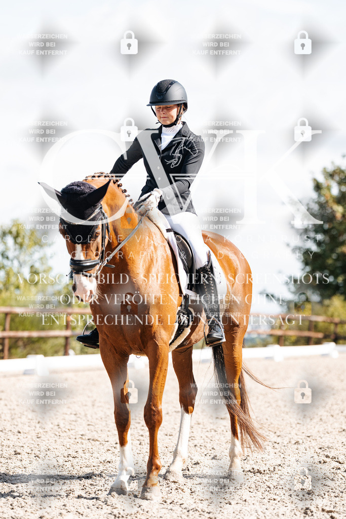 CK902255 | Turnierfotografie Pferdefotografie Trier Rheinland-Pfalz Pferdesport Reitsport Tierfotografie Sportfotografie Pferdevideo Pferdevideografie Equestrianvideography equestrianphotography  - Realisiert mit Pictrs.com