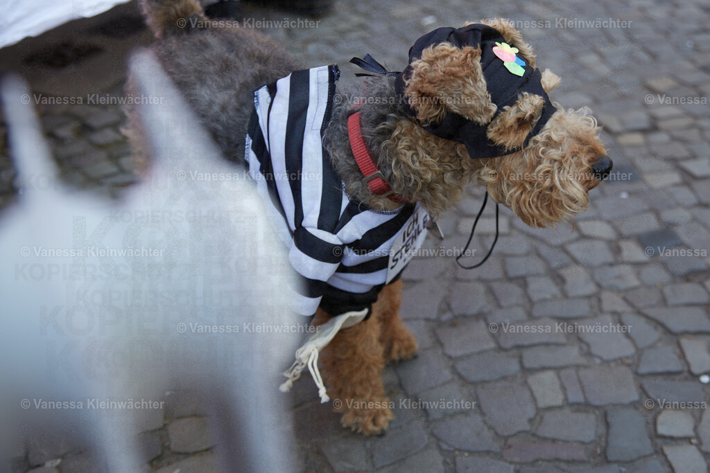 250426_Gewobag_26 | Vanessa Kleinwächter - Realisiert mit Pictrs.com