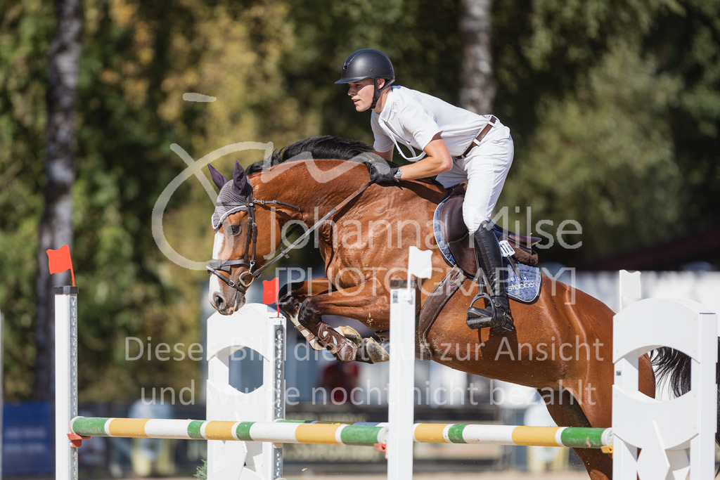 220824_Delbrueck_Stil-M1-241 | Deine schönsten Turniermomente als professionelle Fotos! Entdecke hochwertige Pferdesport-Fotografie im Online-Shop. Jetzt Fotos finden & bestellen!