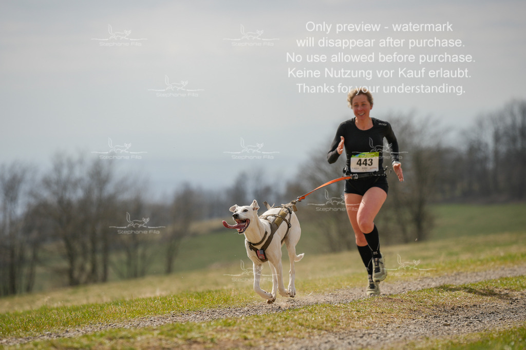 CaniXRunSA-204 | stephaniefillaphotographie - Realisiert mit Pictrs.com