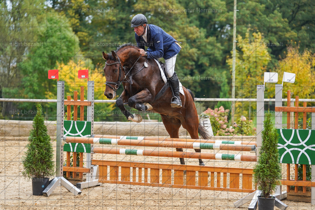 20221009-FAH08795 | Diessen am Ammersee, 2022, Dressur- und Springturnier, Reitsportbilder, Turnierfotografen Bayern, Pferdefotografen, Fotoagentur Herrmann, Turnierbilder