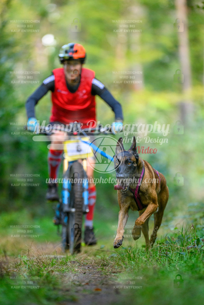 MompixPhotography_Yens2025_B1-19 | PayLife