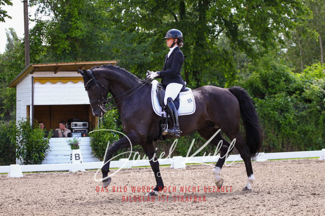 DKP41120 | Turnierfotos kaufen im Webshop von Daniel Kuhl Photography – entdecke professionelle Reitsportfotos aus Turnieren & Events. Hochwertige Turnierbilder online bestellen & sichern. Jetzt Fotos von Reitsportturnieren kaufen!
