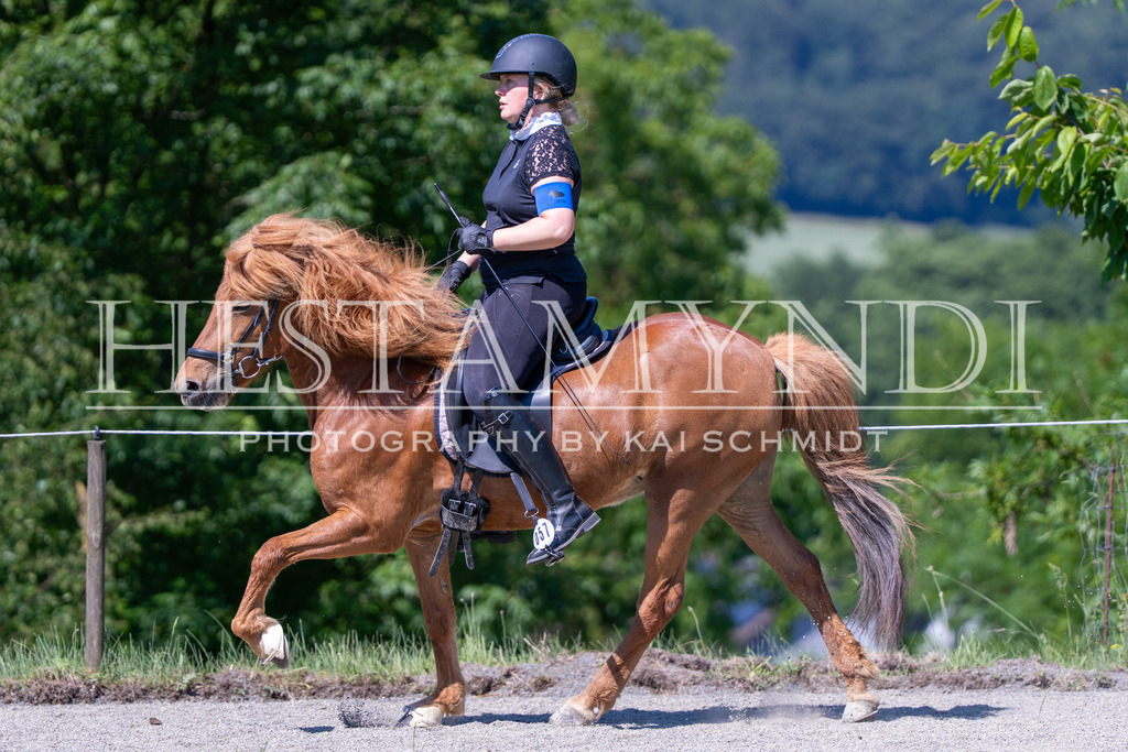 KAI05720 | Ihr sucht einen Fotografen für eure nächste OSI? Ich begleite auch euer Turnier für Islandpferde fotografisch.  - Realisiert mit Pictrs.com