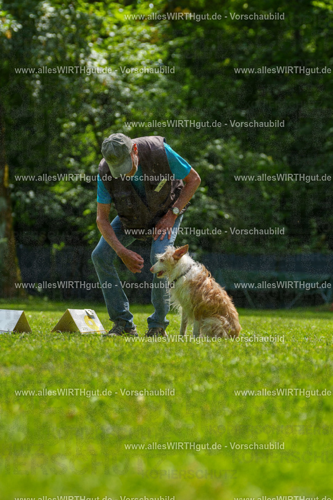 @allesWIRTHgut_Tierfotografie - www.allesWIRTHgut.de - 7R505535 | Professionelle Tierfotografie in Mönchengladbach von Daniel Wirth (allesWIRTHgut). Liebevolle & natürliche Bilder von Hunden & Katzen für unvergessliche Erinnerungen.