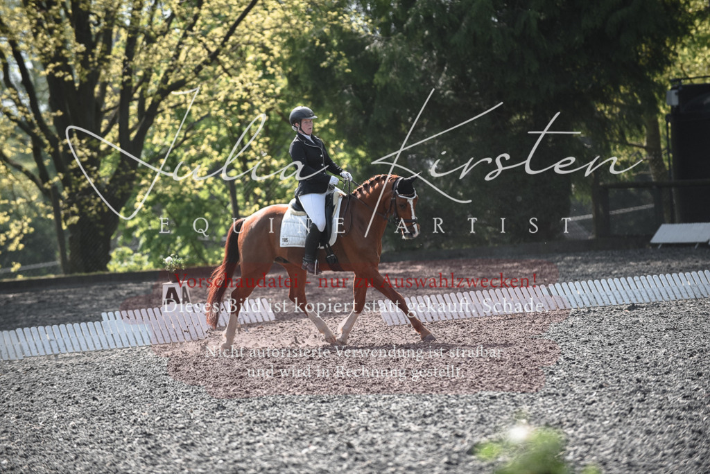 20230513_JK-Röhrsdorf-14-224 | Pferde- und Turnierfotografie in Westsachsen. Pferdeportraits, Auftragszeichnungen und intuitive Kunst.