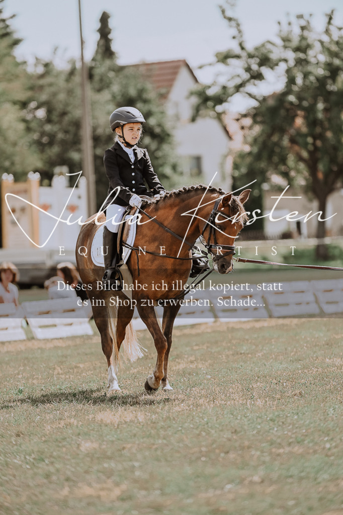 DSC_7637 | Pferde- und Turnierfotografie in Westsachsen. Pferdeportraits, Auftragszeichnungen und intuitive Kunst.