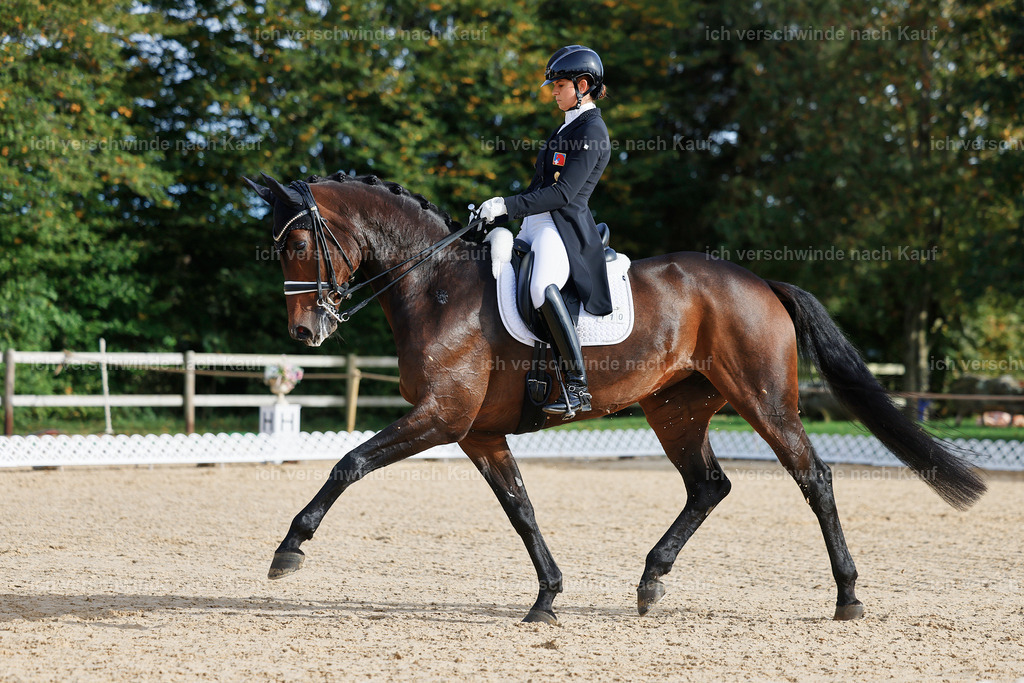 13-110-S___ -StoibPH-6937 | working equitationturnier fotograf videograf stoibphotography marixx film working equitation deutschland reitsport turnierfotografie eventfotografie equestrian events