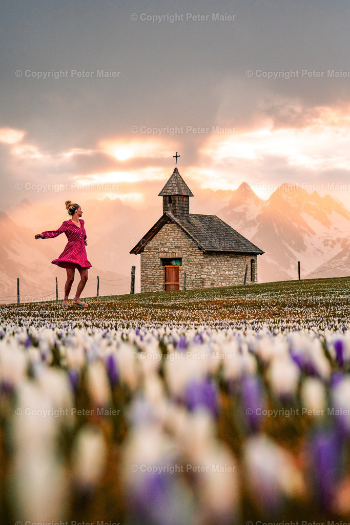 Glocknerblick-404 | piet_flosse