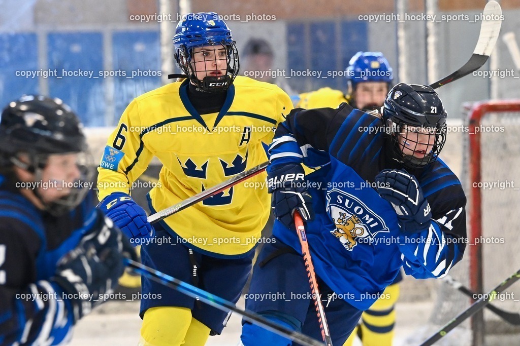 BST_5250 | hockey sports photos, Pressefotos, Sportfotos, hockey247, win 2day icehockeyleague, Handball Austria, Floorball Austria, ÖVV, Kärntner Eishockeyverband, KEHV, KFV, Kärntner Fussballverband, Österreichischer Volleyballverband, Alps Hockey League, ÖFB, 