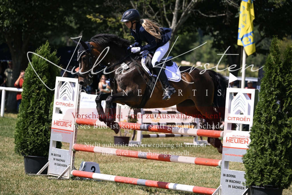 DSC_0402 | Pferde- und Turnierfotografie in Westsachsen. Pferdeportraits, Auftragszeichnungen und intuitive Kunst.