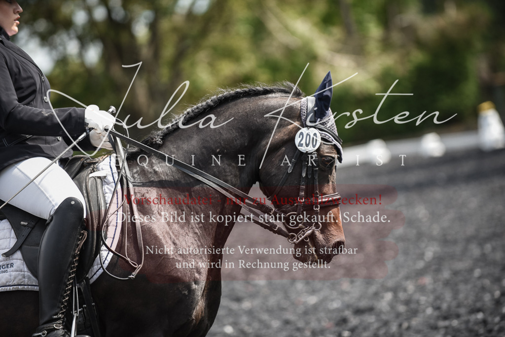 DSC_5101 | Pferde- und Turnierfotografie in Westsachsen. Pferdeportraits, Auftragszeichnungen und intuitive Kunst.