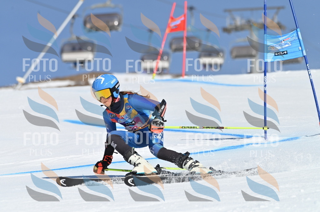 BGV_8118 | holidayphoto