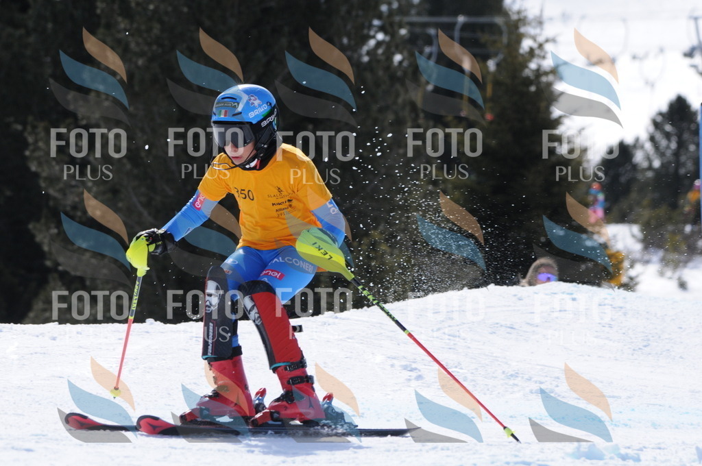 C9366 | holidayphoto