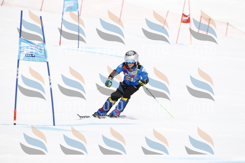 _U3G5339 | holidayphoto