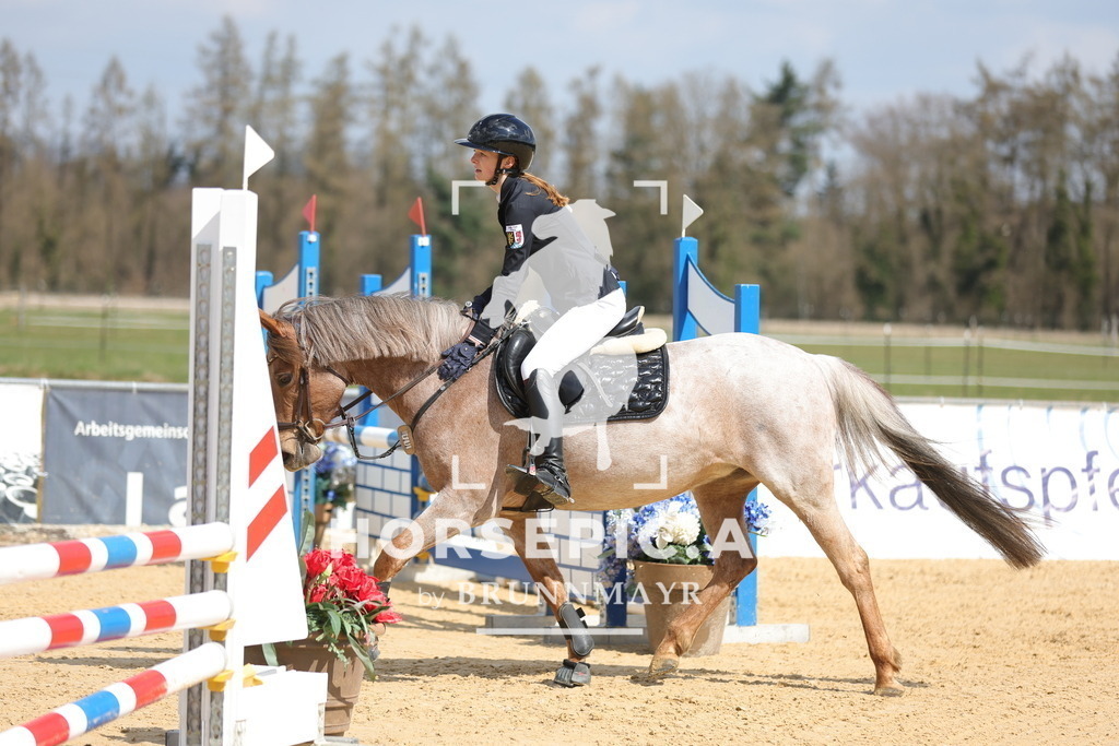 0P6A7756 | Willkommen bei Brunnmayr - Design & Fotografie – Ihrem Spezialisten für Reitturniere und Pferdeveranstaltungen in Oberösterreich, Salzburg und Bayern! Seit über 17 Jahren sind wir leidenschaftlich dabei.