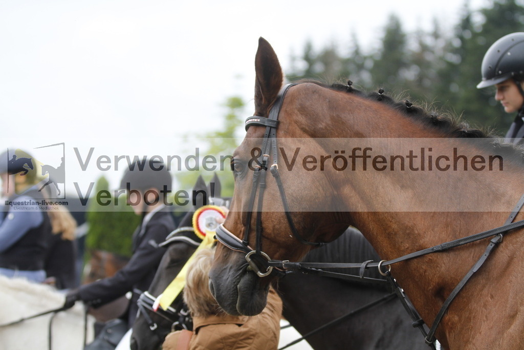 _MG_8357 | equestrian-live-com