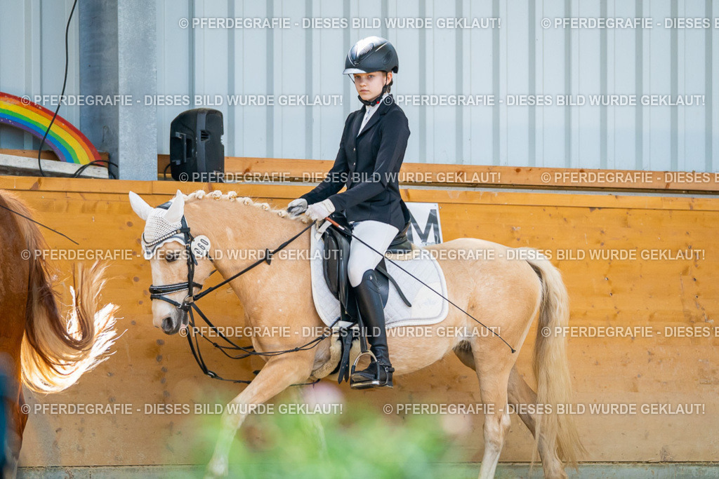 DSC08575 | Pferdegrafie