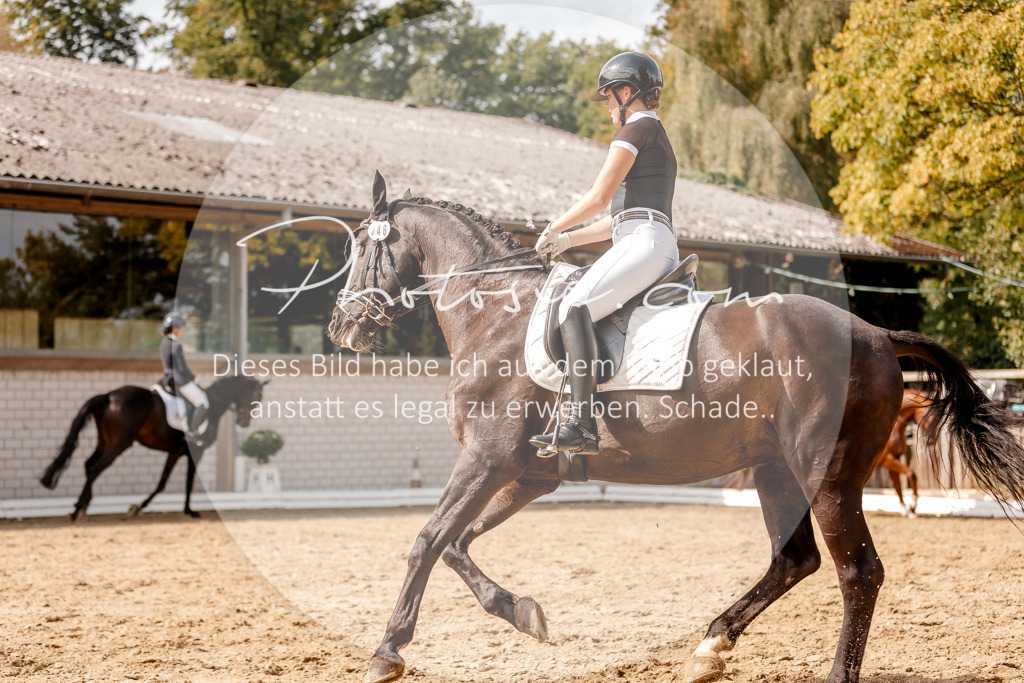 3I6A4026 | Stimmungsvolle Portraits und Reitsportfotografie im Ruhrgebiet und im Münsterland.

Pferdefotografie, Hundefotografie, Tierfotografie, Reportagen, Portraits von Tier und Mensch, Turnierfotografie in Bochum, Recklinghausen, Marl, Haltern am See, Dülmen.. - Realisiert mit Pictrs.com