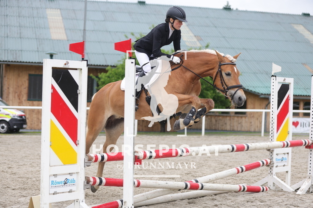 0P6A7965 | Willkommen bei Brunnmayr - Design & Fotografie – Ihrem Spezialisten für Reitturniere und Pferdeveranstaltungen in Oberösterreich, Salzburg und Bayern! Seit über 17 Jahren sind wir leidenschaftlich dabei.