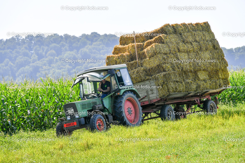 Deutschland_ Baden-Wuerttemberg_ Ebersbach an der Fils_ 14.08.2025-4 | 14.08.2025, Deutschland, GER, Baden-Wuerttemberg, Ebersbach an der Fils, im Bild Themenbild, Abmaehen, Wiese, Traktor, Landwirtschaft, Heuernte, Maehwerk, Gras schneiden, Feldarbeit, Landmaschine, Ernte, Gruenfutter, Silage, Arbeitsschritt, Motor, Schnittbreite, Fahrer, Natur, Sommer, Nutzflaeche, Pflanzenpflege, Agrarwirtschaft, Feld, Bodenbearbeitung, Praezision, Erntetechnik, Bauer, Baeuerin, Feature, Symbolbild