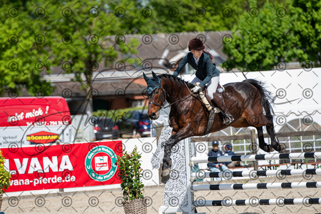 KPT_5185 | andre_photographic