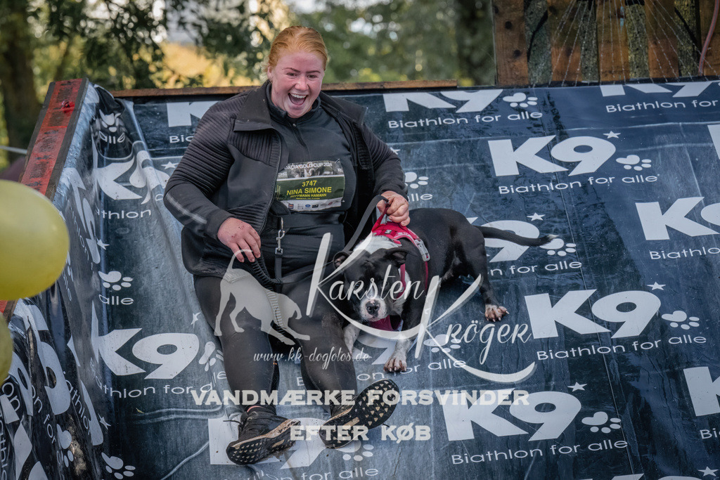 1556_ZZ91390 | kk-dogfotos