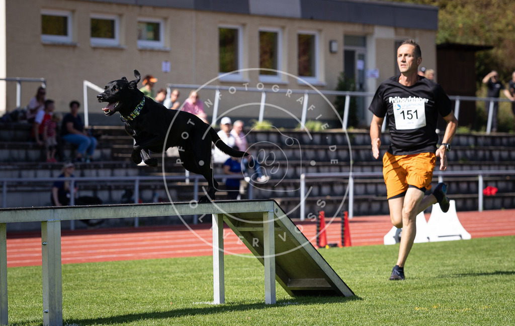 Pfotenfotografie_DV3A9385 | Hundefotografie, Tierfotograf, Pfotenfotografie, Fotoshooting Hund, Hunde Portrait, Hundesport, Hundeportraits, Heideshooting, Hunde, Sportfotograf, Hundefotograf, Turnierhundsport, THS,  - Realisiert mit Pictrs.com