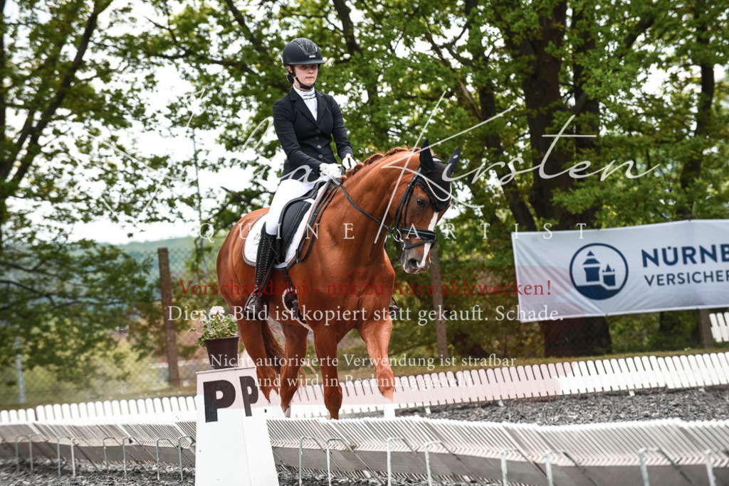 20230514_JK-Röhrsdorf-24-100 | Pferde- und Turnierfotografie in Westsachsen. Pferdeportraits, Auftragszeichnungen und intuitive Kunst.