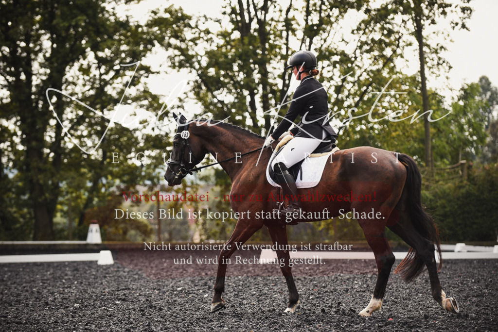 DSC_3716 | Pferde- und Turnierfotografie in Westsachsen. Pferdeportraits, Auftragszeichnungen und intuitive Kunst.