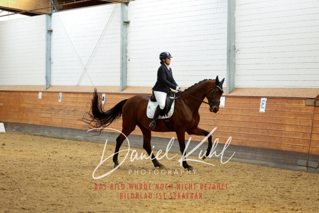 _62_4599 | Turniersportfotografie; Pferdefotografie; Dressurfotografie