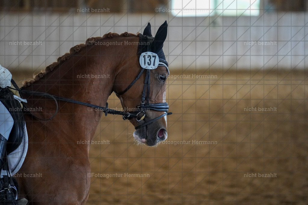 20230518-FAH04795 | Frühjahrsturnier, Landsberg am Lech, 2023, Reitclub Landsberg, Turnierbilder, Fotos Turnier Landsberg, Fotoagentur Herrmann, Turnierfotografen Bayern, Reitsport Fotograf, Pferde Fotograf