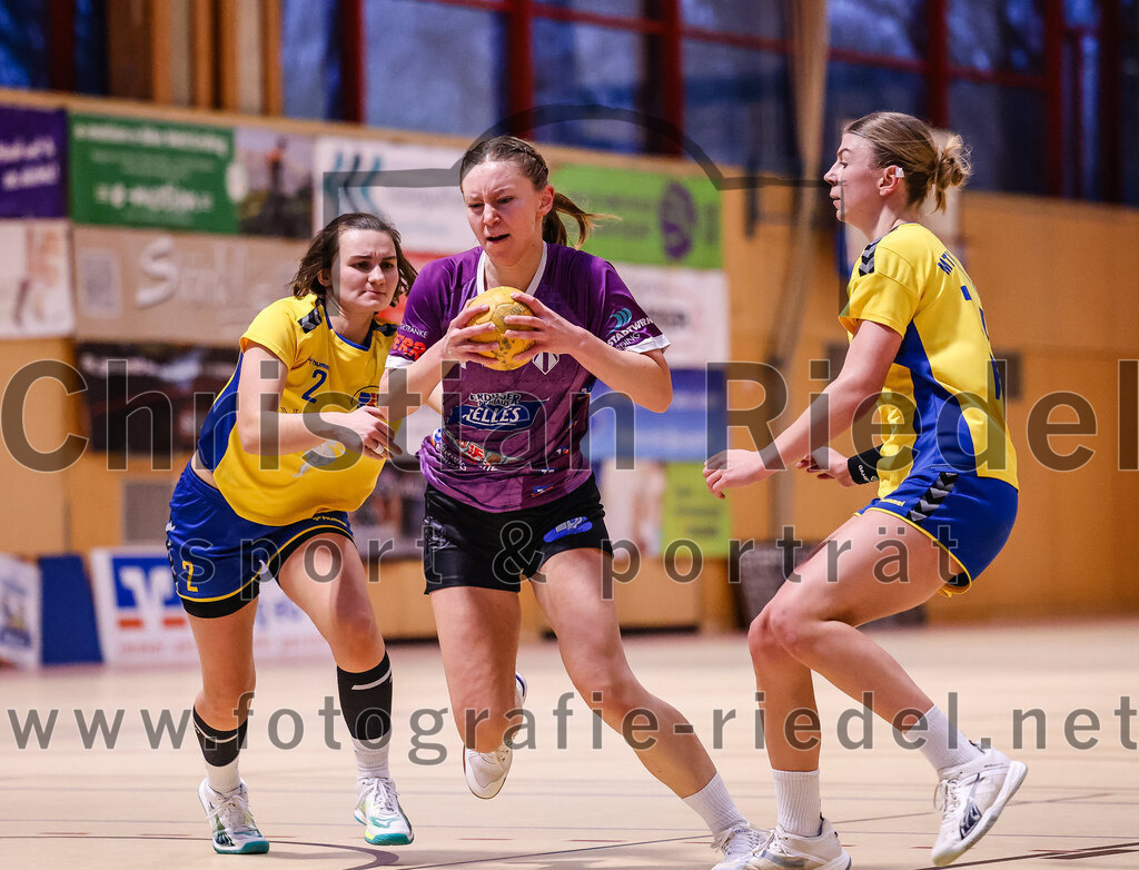 2025-02-15_046_SpVgg_Altenerding_gegen_MTV_Pfaffenhofen | Erding, Deutschland, 15.02.2025:Handball, Bezirksoberliga Frauen Altbayern 2024 / 2024, 14. Spieltag, SpVgg Altenerding gegen MTV Pfaffenhofen, Endergebnis: 27:23Magdalena Scherer (MTV Pfaffenhofen, #2), Sophie Lößl (SpVgg Altenerding, #14)Foto: Christian Riedel / fotografie-riedel.net