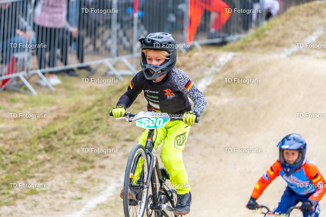 BayBMX2026-05372 | Fotogalerie von Thomas Dettweiler mit Eventbildern und lizenzfreien Fotos. Perfekt als Wandbild, für Büro, Website oder private Nutzung. - Realisiert mit Pictrs.com